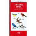 Waterford Press Ontario Birds Book WFP1583552827